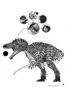 Une illustration de Nicholas Di Genova