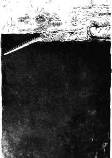 « Leviathan », de Chad Gowey