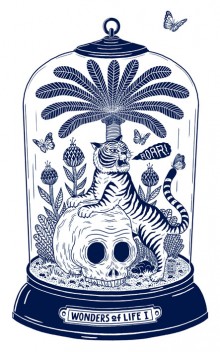 Les merveilles de la nature, par Bene Rohlmann