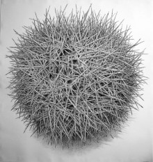 « Sweet Chestnut Fruit » (2012), dessin piquant de Roy Wright