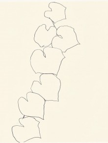 Vigne sauvage