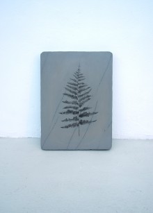 Fossile