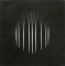 Symétrie