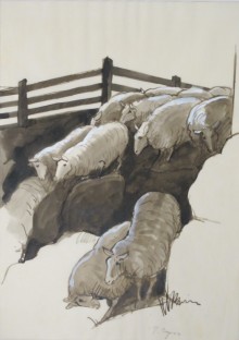 Moutons