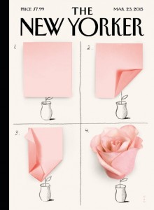 A Rose