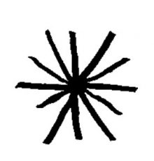 Asshole – Astérisque