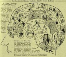 Phrénologie 1905