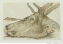 Nature morte